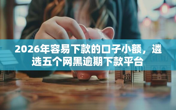 2026年容易下款的口子小额，遴选五个网黑逾期下款平台