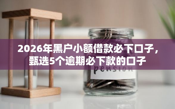2026年黑户小额借款必下口子，甄选5个逾期必下款的口子