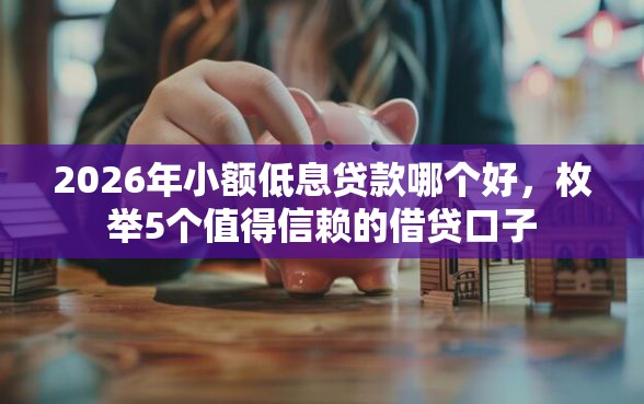 2026年小额低息贷款哪个好，枚举5个值得信赖的借贷口子