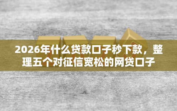 2026年什么贷款口子秒下款，整理五个对征信宽松的网贷口子