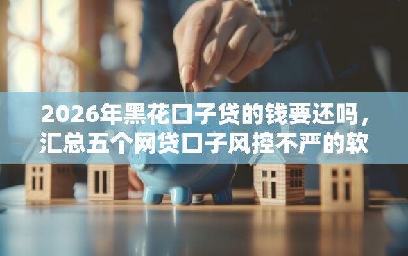 2026年黑花口子贷的钱要还吗，汇总五个网贷口子风控不严的软件