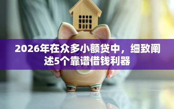 2026年在众多小额贷中，细致阐述5个靠谱借钱利器