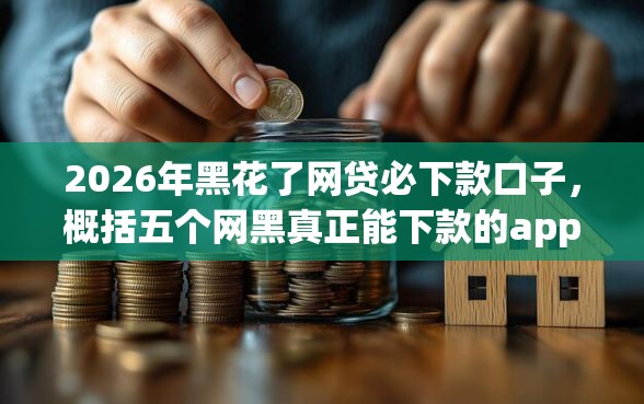 2026年黑花了网贷必下款口子，概括五个网黑真正能下款的app