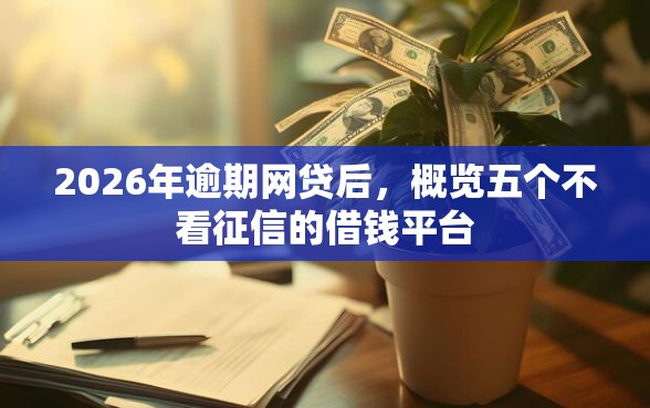2026年逾期网贷后，概览五个不看征信的借钱平台