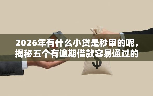 2026年有什么小贷是秒审的呢，揭秘五个有逾期借款容易通过的软件