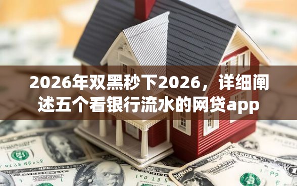 2026年双黑秒下2026，详细阐述五个看银行流水的网贷app