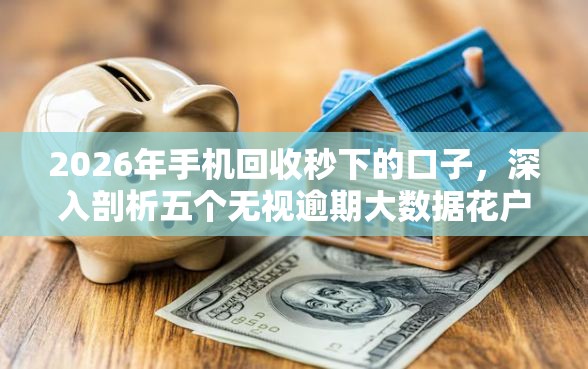 2026年手机回收秒下的口子，深入剖析五个无视逾期大数据花户黑户软件