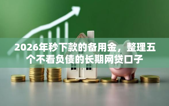 2026年秒下款的备用金，整理五个不看负债的长期网贷口子
