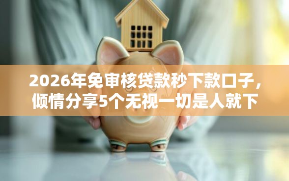 2026年免审核贷款秒下款口子，倾情分享5个无视一切是人就下款平台