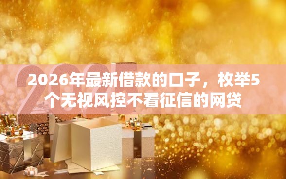 2026年最新借款的口子，枚举5个无视风控不看征信的网贷