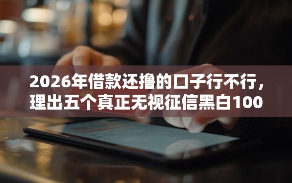 2026年借款还撸的口子行不行,理出五个真正无视征信黑白100%秒下网贷 2026年借款还撸的口子行不行,理出五个真正无视征信黑白100%秒下网贷
