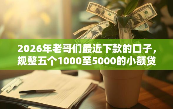 2026年老哥们最近下款的口子，规整五个1000至5000的小额贷款软件