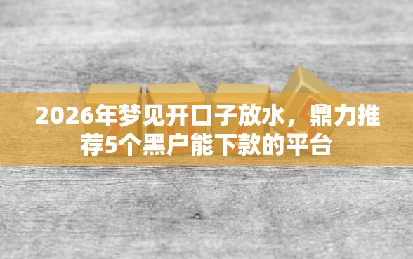 2026年梦见开口子放水，鼎力推荐5个黑户能下款的平台
