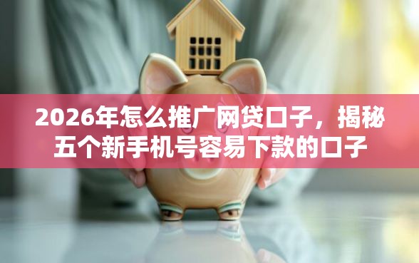 2026年怎么推广网贷口子，揭秘五个新手机号容易下款的口子