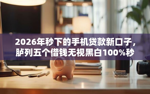 2026年秒下的手机贷款新口子，胪列五个借钱无视黑白100%秒下口子