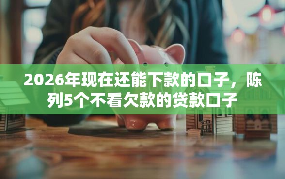 2026年现在还能下款的口子，陈列5个不看欠款的贷款口子