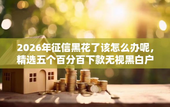 2026年征信黑花了该怎么办呢，精选五个百分百下款无视黑白户网贷