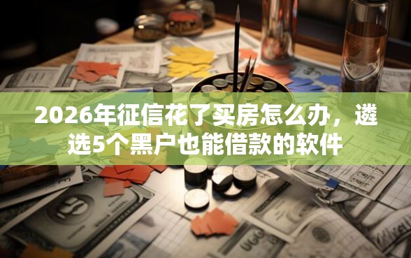 2026年征信花了买房怎么办，遴选5个黑户也能借款的软件