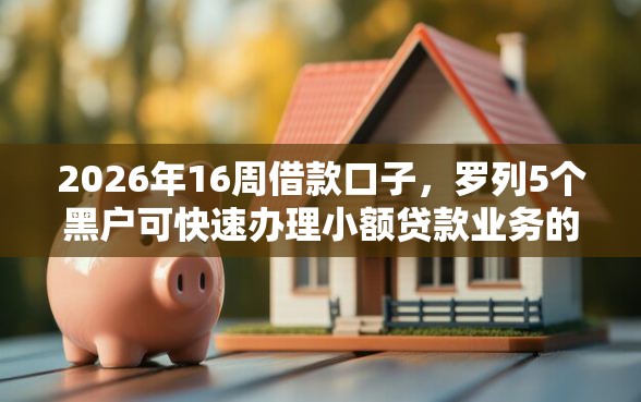 2026年16周借款口子，罗列5个黑户可快速办理小额贷款业务的口子