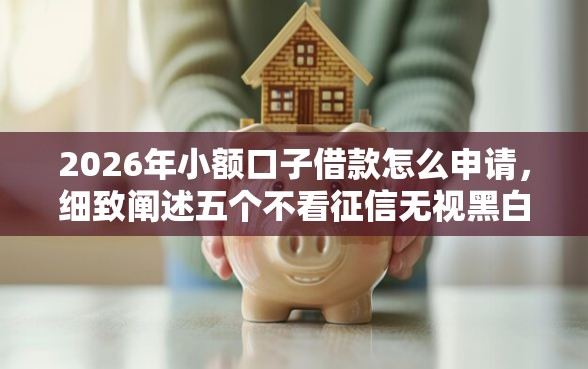 2026年小额口子借款怎么申请，细致阐述五个不看征信无视黑白百分百下款网贷平台