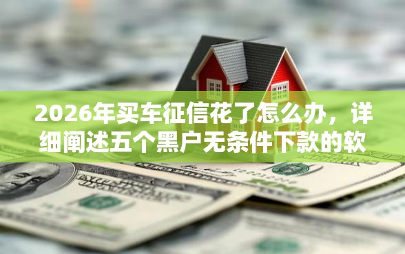 2026年买车征信花了怎么办，详细阐述五个黑户无条件下款的软件