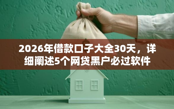 2026年借款口子大全30天，详细阐述5个网贷黑户必过软件