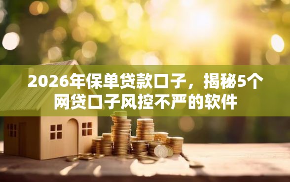 2026年保单贷款口子，揭秘5个网贷口子风控不严的软件