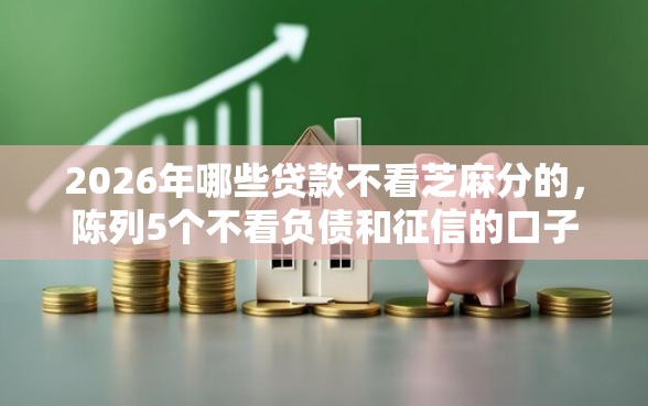 2026年哪些贷款不看芝麻分的，陈列5个不看负债和征信的口子