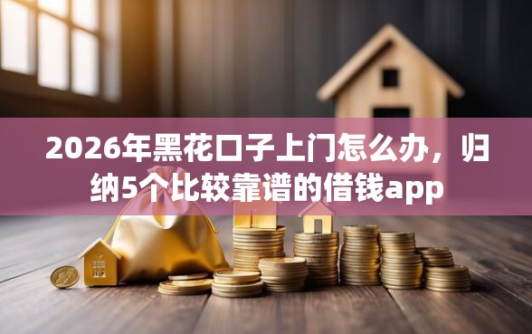 2026年黑花口子上门怎么办，归纳5个比较靠谱的借钱app