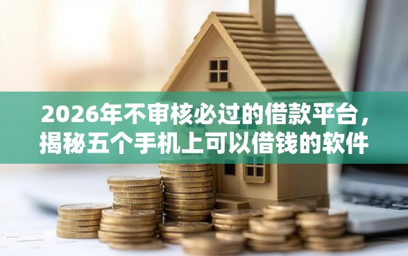 2026年不审核必过的借款平台，揭秘五个手机上可以借钱的软件