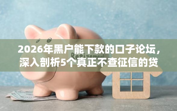 2026年黑户能下款的口子论坛，深入剖析5个真正不查征信的贷款app