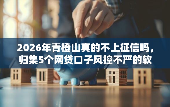 2026年青橙山真的不上征信吗，归集5个网贷口子风控不严的软件