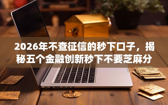 2026年不查征信的秒下口子，揭秘五个金融创新秒下不要芝麻分的app