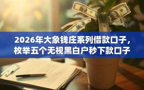 2026年大象钱庄系列借款口子，枚举五个无视黑白户秒下款口子app