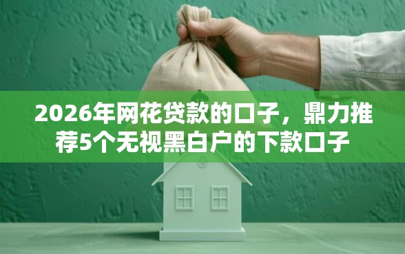 2026年网花贷款的口子，鼎力推荐5个无视黑白户的下款口子