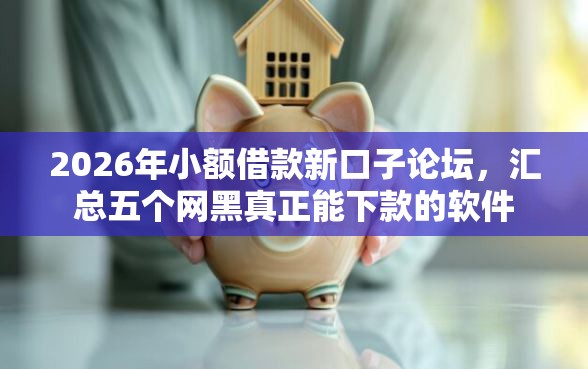 2026年小额借款新口子论坛，汇总五个网黑真正能下款的软件