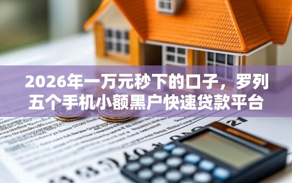 2026年一万元秒下的口子，罗列五个手机小额黑户快速贷款平台