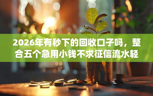 2026年有秒下的回收口子吗，整合五个急用小钱不求征信流水轻松贷的app