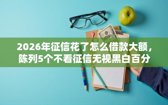 2026年征信花了怎么借款大额，陈列5个不看征信无视黑白百分百下款