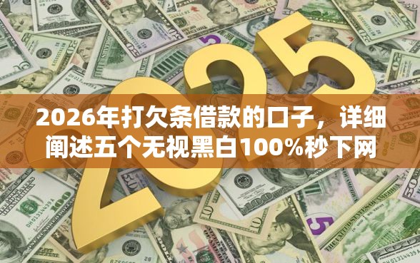 2026年打欠条借款的口子，详细阐述五个无视黑白100%秒下网贷口子