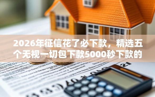 2026年征信花了必下款，精选五个无视一切包下款5000秒下款的软件
