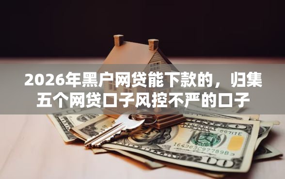 2026年黑户网贷能下款的，归集五个网贷口子风控不严的口子