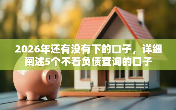 2026年还有没有下的口子，详细阐述5个不看负债查询的口子