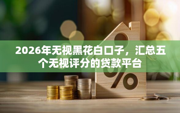 2026年无视黑花白口子，汇总五个无视评分的贷款平台