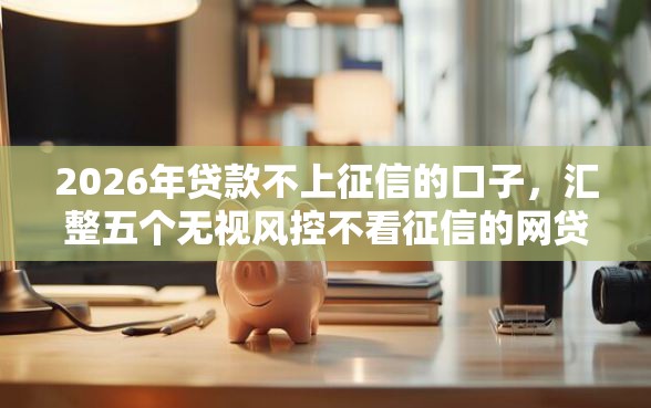 2026年贷款不上征信的口子，汇整五个无视风控不看征信的网贷