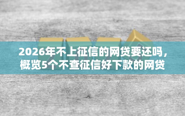 2026年不上征信的网贷要还吗，概览5个不查征信好下款的网贷软件