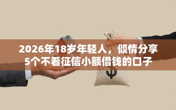 2026年18岁年轻人，倾情分享5个不看征信小额借钱的口子