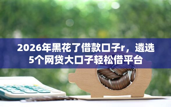 2026年黑花了借款口子r，遴选5个网贷大口子轻松借平台