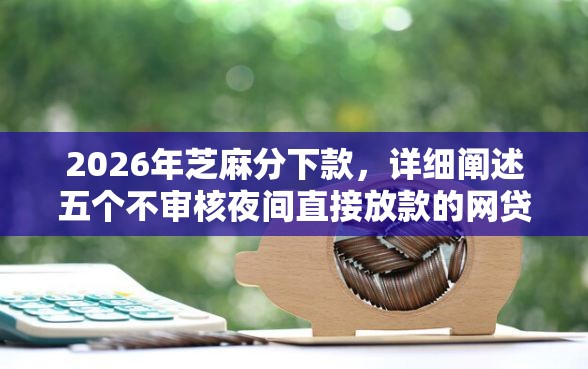 2026年芝麻分下款，详细阐述五个不审核夜间直接放款的网贷软件