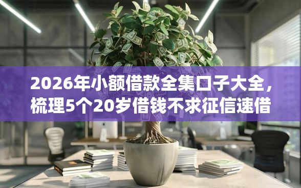 2026年小额借款全集口子大全，梳理5个20岁借钱不求征信速借app